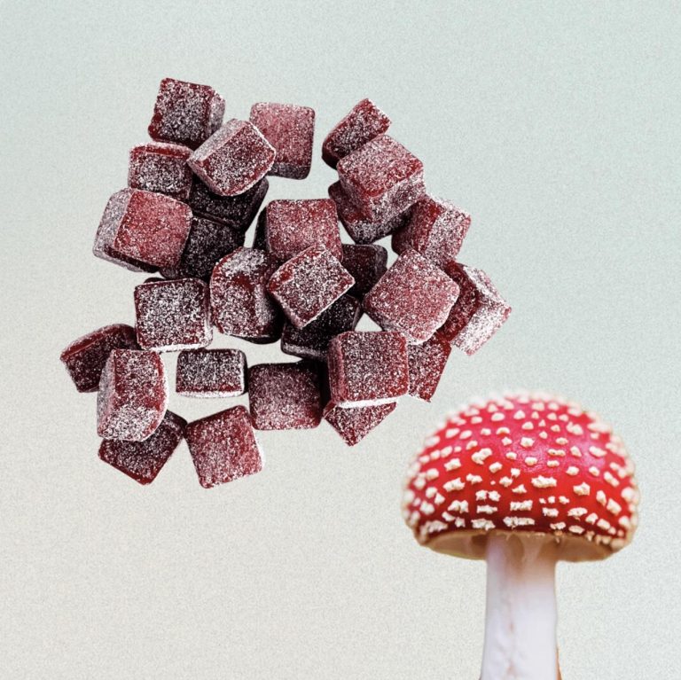 How Mushroom Gummies Fuel Your Body and Mind